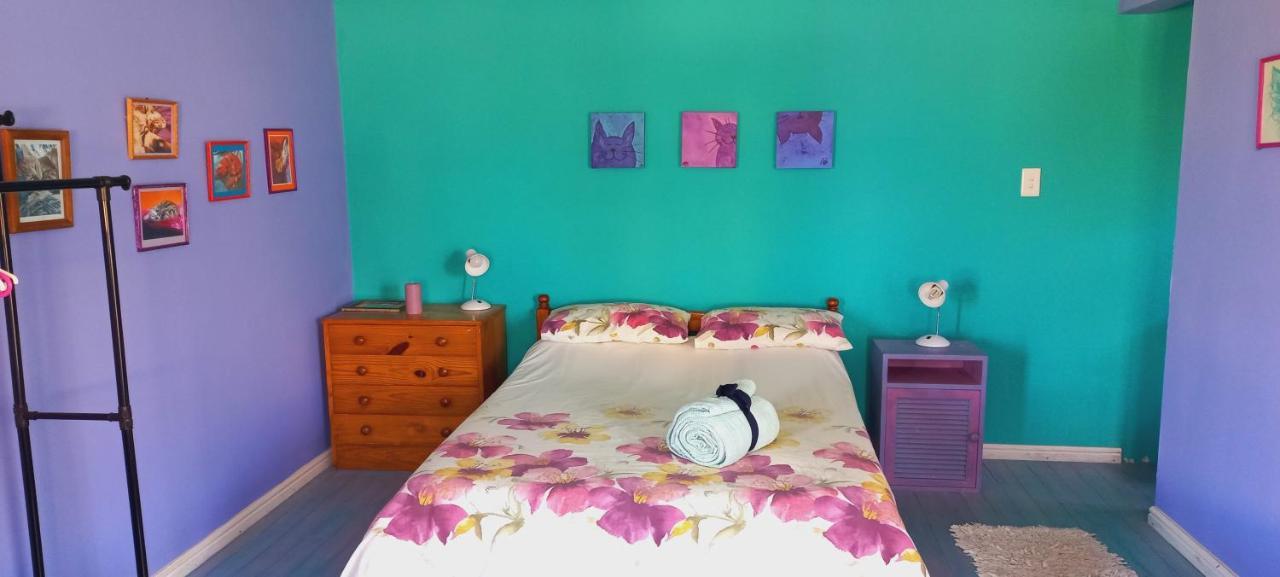 Cat Nap Cottage Bettyʼs Bay エクステリア 写真
