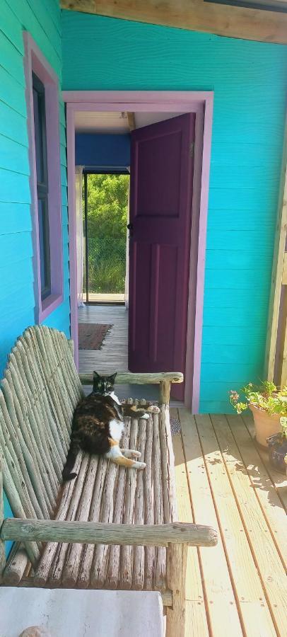 Cat Nap Cottage Bettyʼs Bay エクステリア 写真