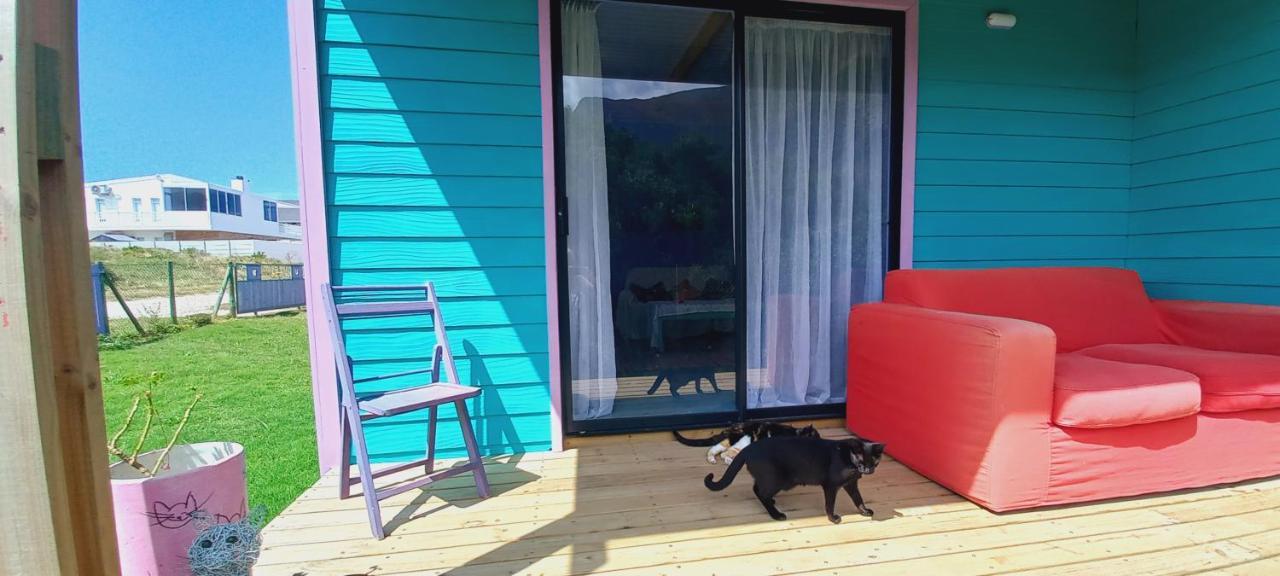 Cat Nap Cottage Bettyʼs Bay エクステリア 写真