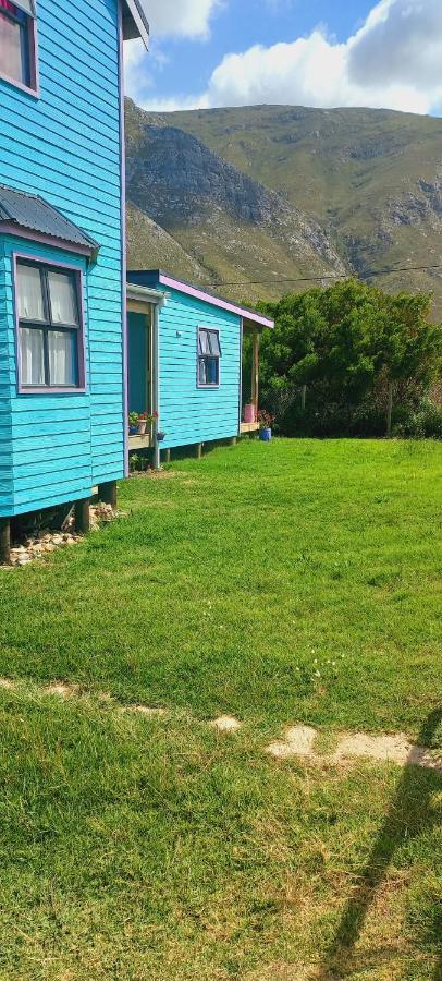 Cat Nap Cottage Bettyʼs Bay エクステリア 写真