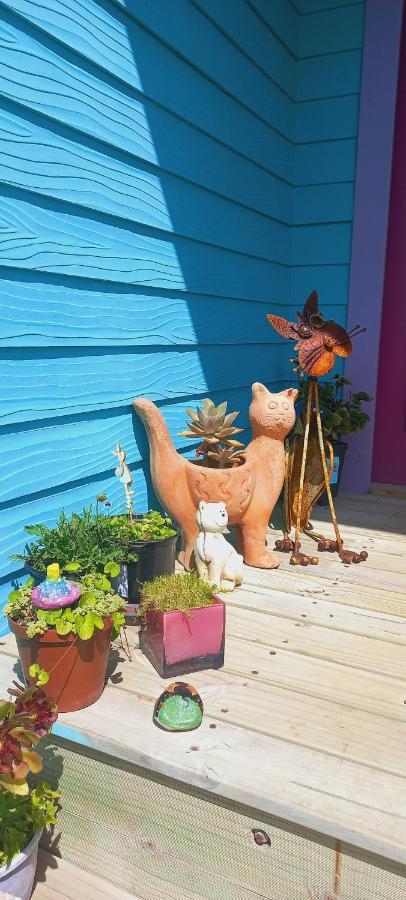Cat Nap Cottage Bettyʼs Bay エクステリア 写真